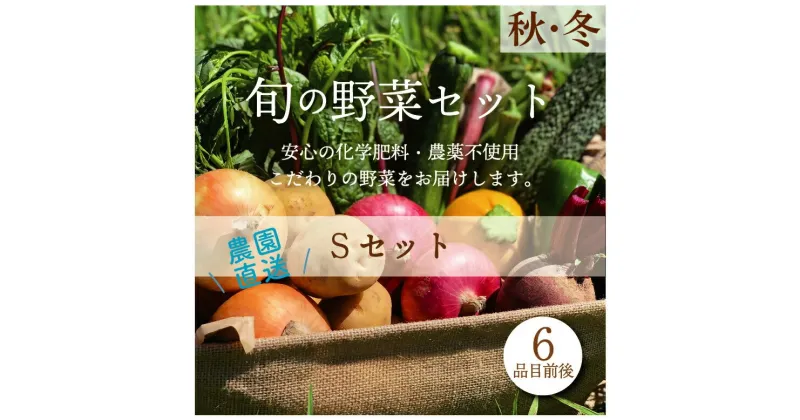 【ふるさと納税】都内マルシェで人気のお野菜！ 秋冬 旬の野菜セットSサイズ(6品前後) F21R-211