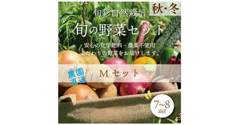 【ふるさと納税】都内マルシェで人気のお野菜！ 秋冬 旬の野菜セットMサイズ(7～8品) F21R-212