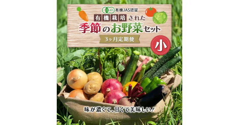 【ふるさと納税】《有機JAS認証》オーガニック 季節のお野菜セット（小）定期便 3ヶ月連続 F23R-828