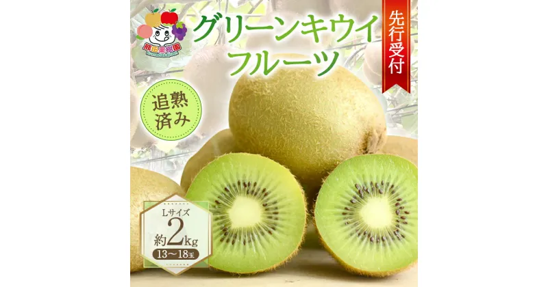 【ふるさと納税】 ＜先行予約＞グリーンキウイフルーツLサイズ追熟済み 約2.0kg（13～18玉） F21R-876