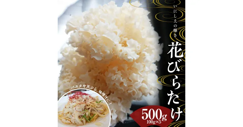 【ふるさと納税】＜数量限定＞いにしえの輝き花びらたけ 500g（100g×5パック） F23R-613