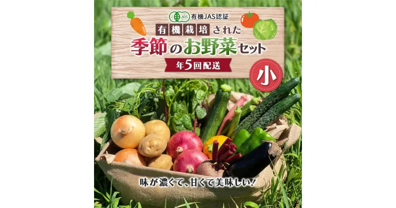 【ふるさと納税】 《有機JAS認証》 オーガニック 季節のお野菜が届く定期便（小） 年5回配送 F23R-832