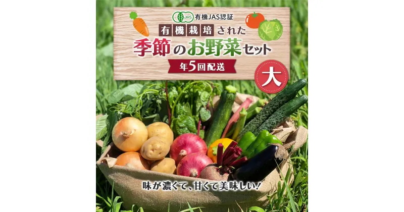 【ふるさと納税】 《有機JAS認証》 オーガニック 季節のお野菜が届く定期便（大） 年5回配送 F23R-833