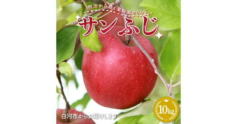 【ふるさと納税】 明治から続く果樹園のりんご「サンふじ」10kg（24～36玉）りんご リンゴ 林檎 果物 くだもの フルーツ 福島県 白河市 F23R-814