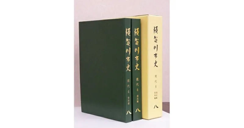 【ふるさと納税】須賀川市史第8巻　現代4【1020348】