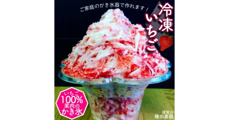 【ふるさと納税】冷凍いちご「甘園房~あまえんぼう~」 約1kg(約500g×2袋)【配送不可地域：離島】【1288303】