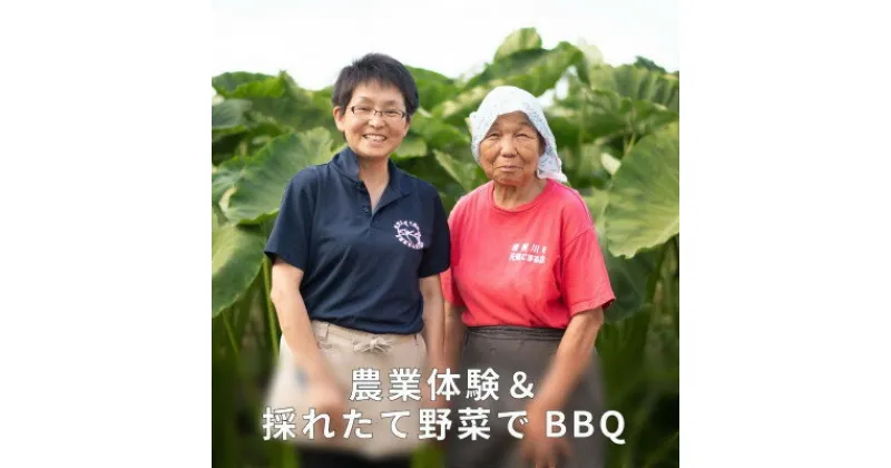 【ふるさと納税】阿部農縁の採れたて野菜でBBQ!農業体験と野菜たっぷりバーベキュープラン　2名様【1363757】