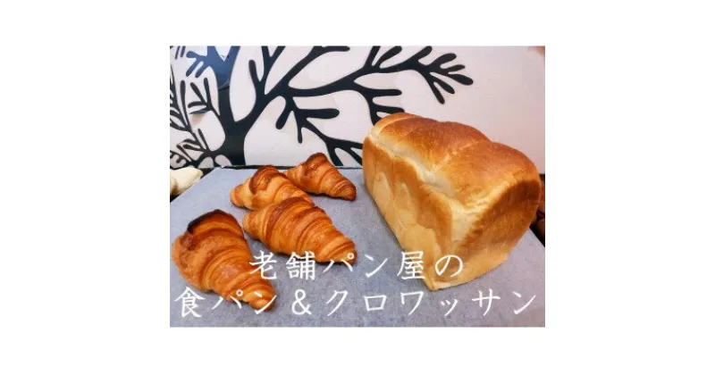 【ふるさと納税】丸十製パン　もっちり食感のこだわり食パン&素材にこだった手作りクロワッサン【配送不可地域：離島・北海道・沖縄県・信越、北陸・東海・近畿・中国・四国・九州】【1289975】