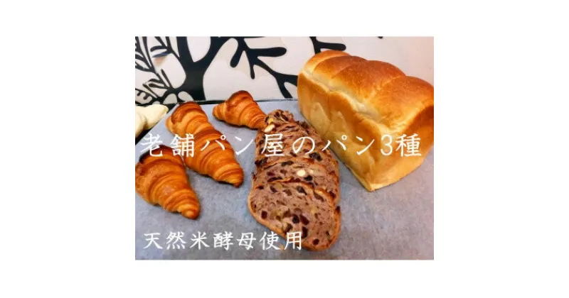 【ふるさと納税】丸十製パン　もっちり食パン&素材にこだった手作りクロワッサン&具材ぎっしり贅沢カンパーニュ【配送不可地域：離島・北海道・沖縄県・信越、北陸・東海・近畿・中国・四国・九州】【1290052】