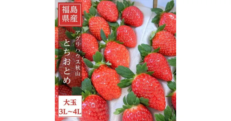 【ふるさと納税】【アグリハウス秋山】 とちおとめ デラックス3L～4L 大玉 24～30粒【配送不可地域：離島・沖縄県】【1477696】