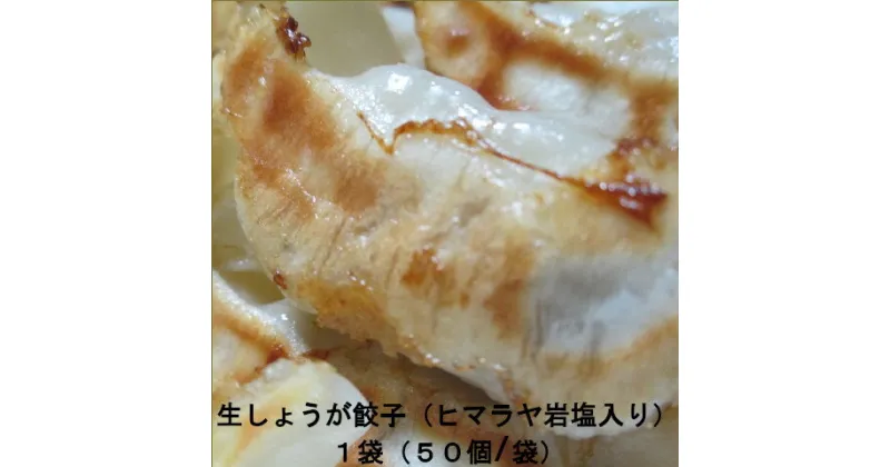 【ふるさと納税】ヒマラヤ岩塩入り生しょうが餃子(22g×50個)　【07208-0283】