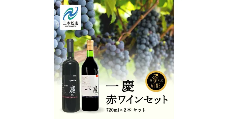 【ふるさと納税】 一慶 赤ワインセット ワイン 飲みやすい 赤ワイン お酒 グルメ プレゼント 人気 ランキング おすすめ ギフト 故郷 ふるさと 納税 福島 ふくしま 二本松市 送料無料 【ふくしま農家の夢ワイン】