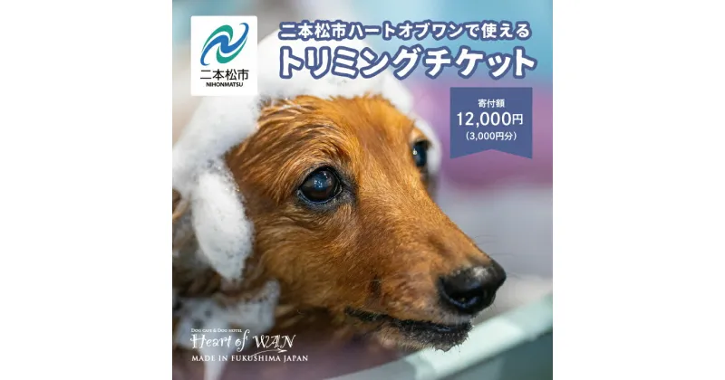 【ふるさと納税】 トリミングチケット 3,000円分 トリミング 愛犬 ワンちゃん 犬 ペット トリミングチケット サロン わんちゃん おすすめ お中元 お歳暮 ギフト 二本松市 ふくしま 福島県 送料無料 【ハートオブワン】