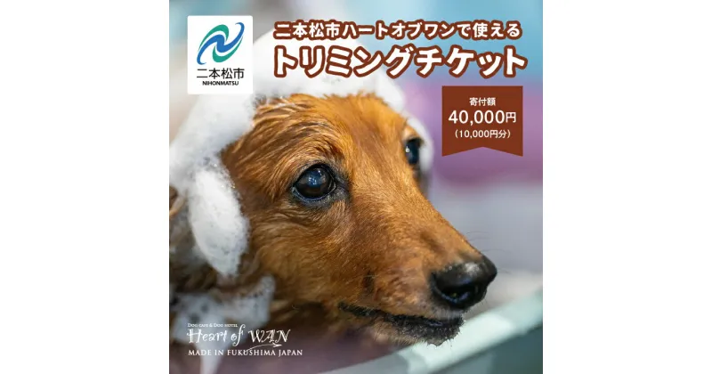 【ふるさと納税】 トリミングチケット 10,000円分 トリミング 愛犬 ワンちゃん 犬 ペット トリミングチケット サロン わんちゃん おすすめ お中元 お歳暮 ギフト 二本松市 ふくしま 福島県 送料無料 【ハートオブワン】