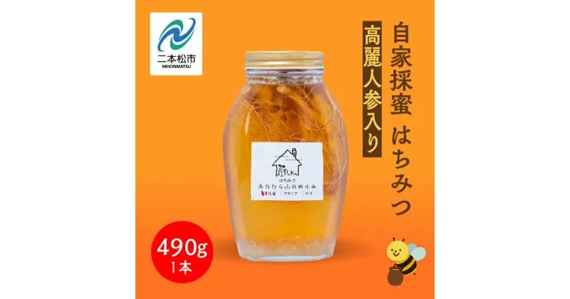 【ふるさと納税】 自家採蜜はちみつ 高麗人参入り 490g ハチミツ 蜂蜜 自家採蜜 高麗人参 朝鮮人参 国産100% 安達太良山 おたねにんじん 二本松養蜂場 滋養強壮 おすすめ お中元 お歳暮 ギフト 二本松市 ふくしま 福島県 送料無料 【あだたら高原いっぷく】