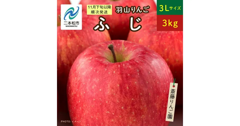 【ふるさと納税】《2024年11月下旬以降順次》羽山のりんご ふじ3Lサイズ3kg りんご 果物 フルーツ 羽山りんご 3kg ふじ 人気 くだもの おすすめ お中元 お歳暮 ギフト 二本松市 ふくしま 福島県 送料無料 【斎藤りんご園】