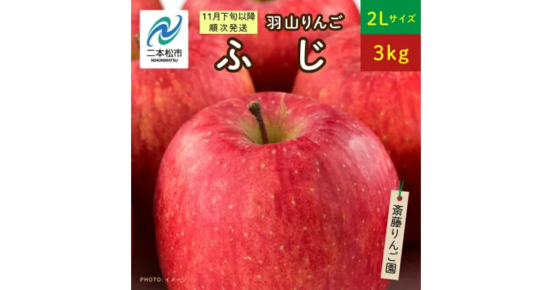 【ふるさと納税】《2024年11月下旬以降順次》羽山のりんご ふじ2Lサイズ3kg りんご 果物 フルーツ 羽山りんご 3kg ふじ 人気 くだもの おすすめ お中元 お歳暮 ギフト 二本松市 ふくしま 福島県 送料無料 【斎藤りんご園】