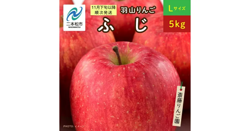 【ふるさと納税】《2024年11月下旬以降順次》羽山のりんご ふじLサイズ5kg りんご 果物 フルーツ 羽山りんご 5kg ふじ 人気 くだもの おすすめ お中元 お歳暮 ギフト 二本松市 ふくしま 福島県 送料無料 【斎藤りんご園】