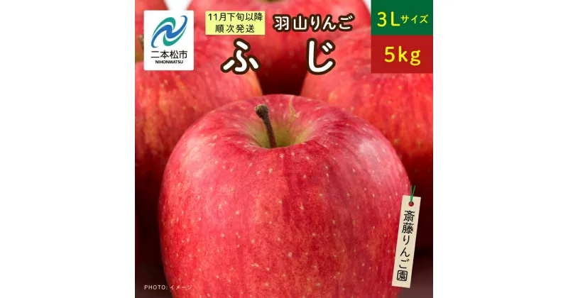 【ふるさと納税】《2024年11月下旬以降順次》羽山のりんご ふじ3Lサイズ5kg りんご 果物 フルーツ 羽山りんご 5kg ふじ 人気 くだもの おすすめ お中元 お歳暮 ギフト 二本松市 ふくしま 福島県 送料無料 【斎藤りんご園】