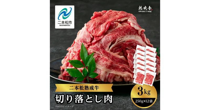 【ふるさと納税】 二本松熟成牛 切り落とし3kg（250g×12袋） 小分け 牛肉 肉 切落し 薄切り 部位 お取り寄せ グルメ 牛丼 炒めものに ギフト プレゼント おすすめ お中元 お歳暮 ギフト 二本松市 ふくしま 福島県 送料無料 【エム牧場】