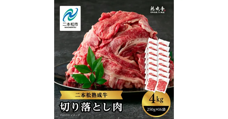 【ふるさと納税】 二本松熟成牛 切り落とし4kg（250g×16袋） 小分け 牛肉 肉 切落し 薄切り 部位 お取り寄せ グルメ 牛丼 炒めものに ギフト プレゼント おすすめ お中元 お歳暮 ギフト 二本松市 ふくしま 福島県 送料無料 【エム牧場】