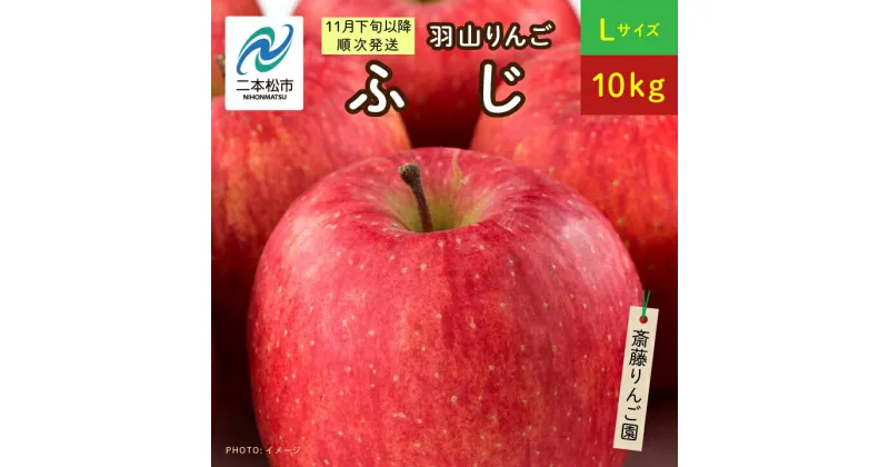 【ふるさと納税】《2024年11月下旬以降順次》羽山のりんご ふじLサイズ10kg【斎藤りんご園】 りんご 果物 フルーツ 羽山りんご 10kg りんご ふじ 人気 くだもの おすすめ お中元 お歳暮 ギフト 二本松市 ふくしま 福島県 送料無料 【斎藤りんご園】