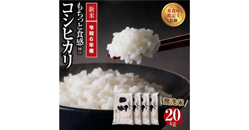 【ふるさと納税】 【令和6年産】 ＼新米／ 田村産 無洗米 コシヒカリ 20kg ( 5kg × 4袋 ) ギフト 贅沢 のし対応 福島 ふくしま 田村 贈答 美味しい 米 コメ ご飯 ブランド米 精米したて お米マイスター 匠 食味鑑定士 安藤米穀店