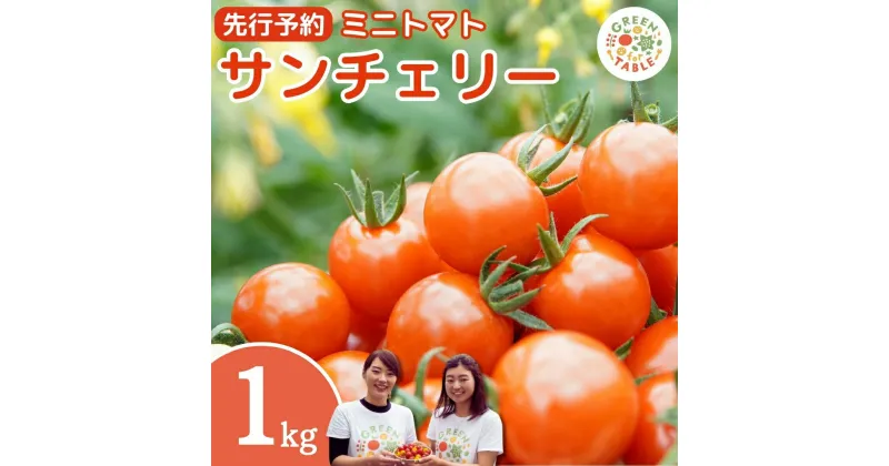 【ふるさと納税】ミニトマト サンチェリー 1kg トマト 新鮮 野菜 農家直送 1キロ おすすめ おいしい 贈答 福島県 田村市 田村 限定30セット 株式会社GREENforTABLE