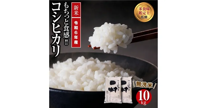 【ふるさと納税】 【令和6年産】 ＼新米／ 無洗米 コシヒカリ 10kg セット ギフト 贅沢 のし対応 福島 ふくしま 田村 贈答 美味しい 米 コメ ご飯 ブランド米 精米したて お米マイスター 匠 食味鑑定士 安藤米穀店