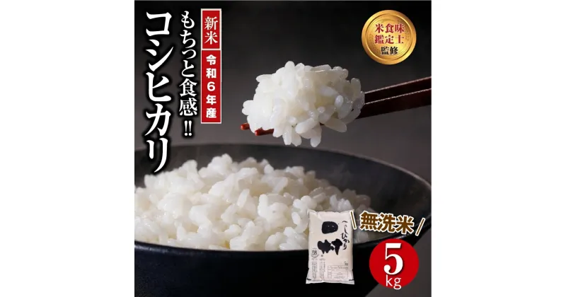 【ふるさと納税】 【令和6年産】 ＼新米／ 田村産 無洗米 コシヒカリ 5kg ギフト 贅沢 のし対応 1週間以内発送 福島 ふくしま 田村 贈答 美味しい 米 kome コメ ご飯 ブランド米 精米したて お米マイスター 匠 食味鑑定士 安藤米穀店