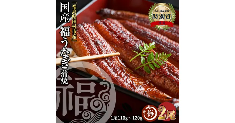 【ふるさと納税】 国産 福うなぎ 蒲焼 (100g～120g) 2尾 魚 養殖 ウナギ 鰻 肉厚 冷凍 ギフト 贈答 贈り物 福島県 田村市 ニューフロンティア