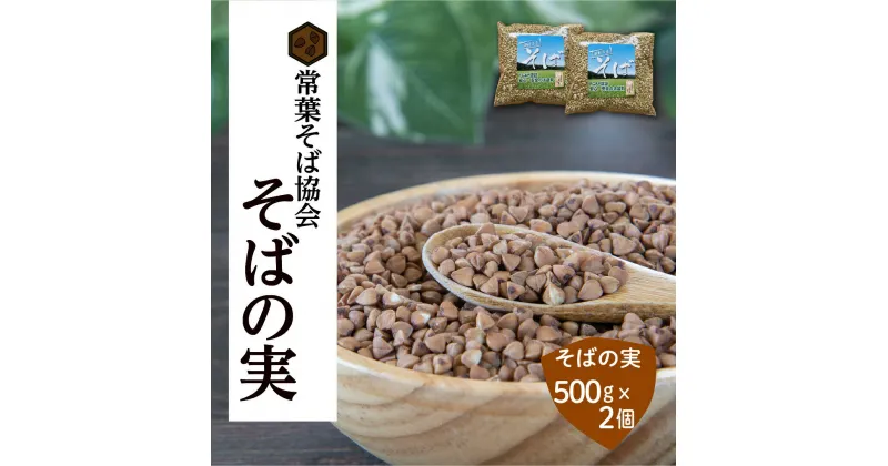 【ふるさと納税】あぶくま高原 そば そばの実 1kg ( 500g × 2個 ) 蕎麦 そば打ち 低GI ダイエット GAP FGAP 国産 おすすめ お中元 送料無料 緊急支援品 生活応援 コロナ支援 福島県 田村市 常葉そば協会