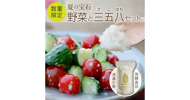 【ふるさと納税】【 先行予約 】 夏の宝石野菜と 三五八 (さごはち) セット 数量限定 おすすめ 野菜 夏野菜 発酵 発酵食品 麹 糀 塩麹 健康 腸活 農家直送 新鮮 ギフト 贈答 ミニトマト 枝豆 福島県 田村市 青柳堂