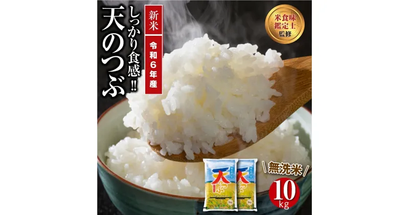 【ふるさと納税】 【 令和6年産 】 ＼ 新米 ／ 田村市産 無洗米 天のつぶ 10kg ( 5kg × 2袋 ) ギフト 贅沢 のし対応 福島 ふくしま 田村 贈答 美味しい 米 コメ ご飯 ブランド米 精米したて お米マイスター 匠 食味鑑定士 安藤米穀店