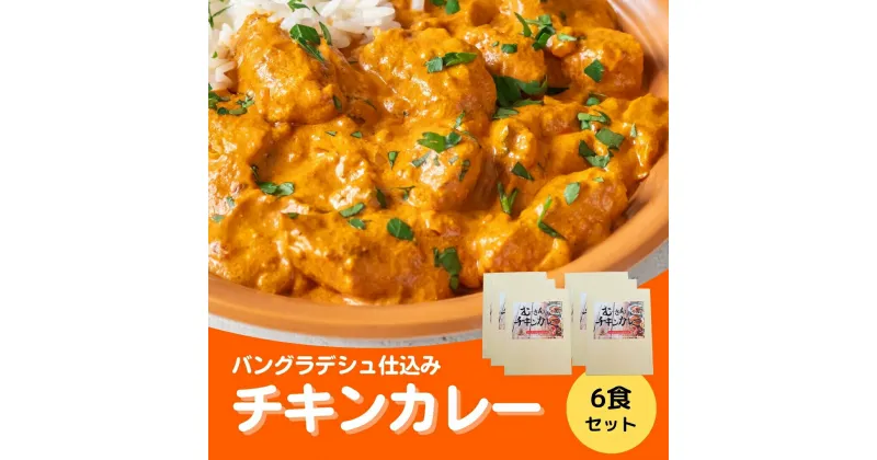 【ふるさと納税】チキンカレー 6食セット 辛口 カレー レトルト パウチ 食品 アレンジ 非常食 常備食 保存 送料無料 緊急支援品 生活応援 コロナ支援 福島県 田村市 株式会社むー