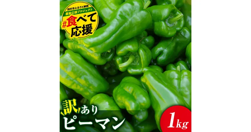 【ふるさと納税】農家応援！ 【訳あり】 ピーマン 1kg 農家直送 野菜 新鮮 BBQ 焼肉 国産 おすすめ 送料無料 緊急支援品 生活応援 コロナ支援 福島県 田村市 新田ファーム