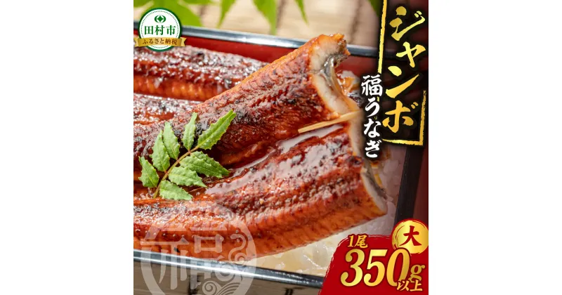 【ふるさと納税】国産 ジャンボ 福うなぎ 大 (350g～390g) 1尾 魚 養殖 ウナギ 鰻 肉厚 冷凍 ギフト 贈答 贈り物 福島県 田村市 ニューフロンティア