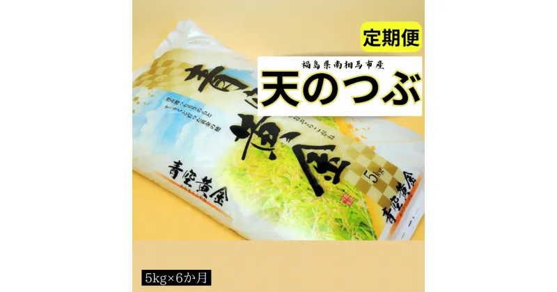 【ふるさと納税】【令和6年米】 アグリロード 天のつぶ 定期便 6か月分 (5kg × 6回) 30キロ 精米 白米 コメ ごはん ブランド米 南相馬 福島 オリジナル 品種 福島県産 お取り寄せ 炊き立て 送料無料 ふるさと納税 オンライン申請【69007】