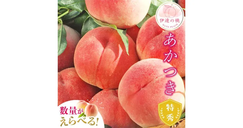 【ふるさと納税】2025年出荷分 先行予約 福島県産 あかつき 約1.5kg 約3kg 約5kg 特秀 糖度12度以上 透過式光センサー選別 2025年7月下旬～2025年8月上旬発送 先行予約 予約 伊達の桃 桃 もも モモ 果物 くだもの フルーツ 名産品 国産 食品 F20C-278var