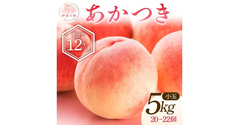 【ふるさと納税】2025年出荷分《先行予約》【透過式光センサー選別】 福島県伊達市産 桃 あかつき小玉 特秀 約5kg 2025年7月下旬～2025年8月上旬発送 伊達の桃 桃 もも モモ 果物 くだもの フルーツ 名産品 国産 食品 F20C-586