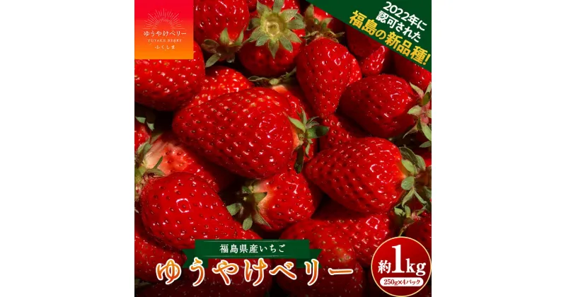 【ふるさと納税】＜限定＞新品種のいちご 福島県 オリジナル品種「ゆうやけベリー」約1kg（250g×4パック）イチゴ 苺 フルーツ 果物 伊達市 F20C-678