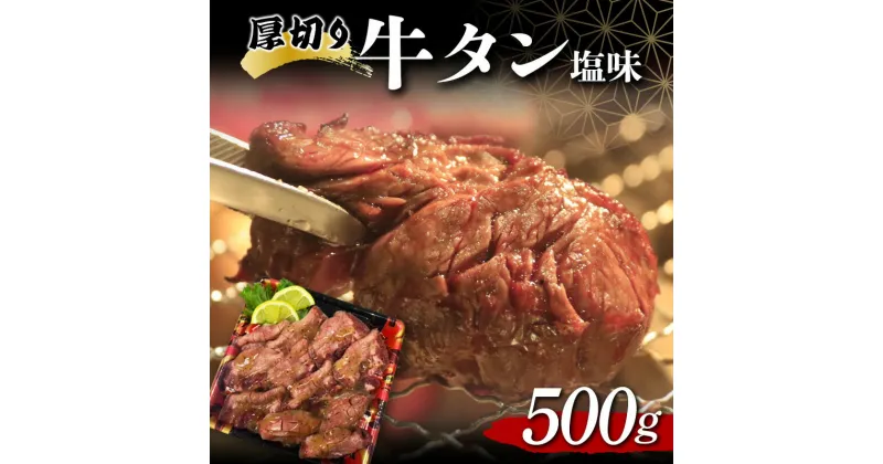 【ふるさと納税】 厚切り牛タン塩味 500g 焼肉 キャンプ アウトドア BBQ 塩牛タン 味付け肉 F20C-679