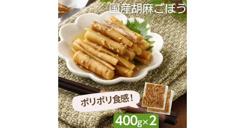 【ふるさと納税】 国産 胡麻ごぼう 甘辛煮800g（400g×2パック） F20C-893