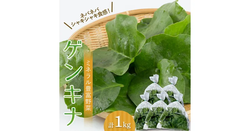 【ふるさと納税】 【ミネラル豊富野菜】 ゲンキナ 1kg F20C-948