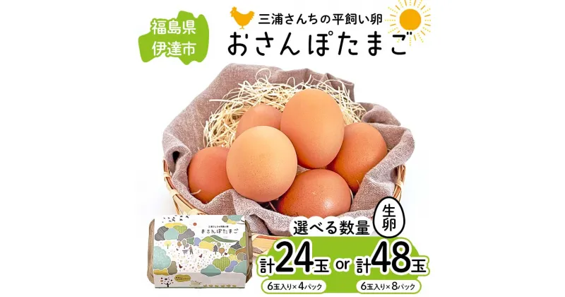 【ふるさと納税】 数量が選べる 三浦さんちの平飼い卵 おさんぽたまご 計24玉 計48玉 伊達市 福島県 国産 養鶏場直送 卵 たまご 玉子 生卵 鶏卵 F20C-949var