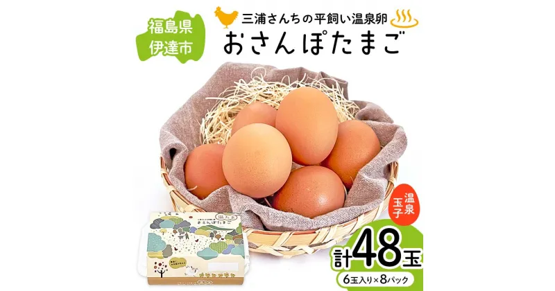 【ふるさと納税】 三浦さんちの平飼い温泉玉子 おさんぽたまご 計48玉 伊達市 福島県 国産 養鶏場直送 卵 たまご 玉子 鶏卵 温泉たまご F20C-951