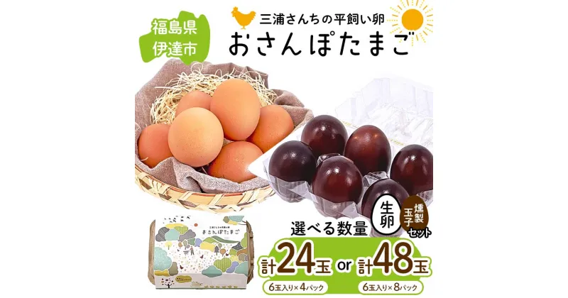 【ふるさと納税】 数量が選べる 三浦さんちの平飼い卵 おさんぽたまご(生卵と燻製玉子セット) 生卵18玉入り・燻製玉子6玉入り(計24玉) /生卵24玉入り・燻製玉子24玉入り(計48玉) 伊達市 福島県 国産 養鶏場直送 卵 たまご 玉子 生卵 鶏卵 燻製たまご F20C-955var