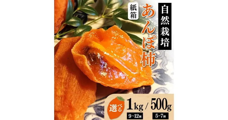 【ふるさと納税】 【贈答用】自然栽培あんぽ柿 紙箱 【500g（5～7 個入り）/1kg（9~12個入り）】 F20C-969var