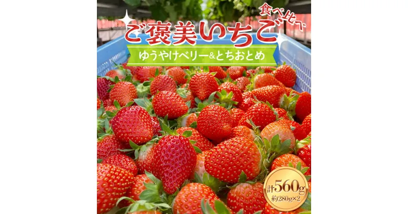 【ふるさと納税】【ご褒美いちご】「ゆうやけベリー」「とちおとめ」の食べ比べセット 約280g×2パック F20C-987