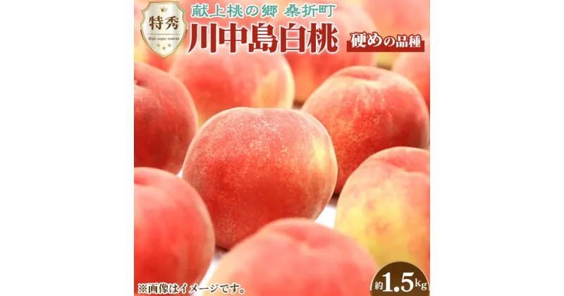 【ふるさと納税】No.138 川中島白桃　特秀1.5kg　桑折町産　JAふくしま未来　もも ／ モモ 果物 フルーツ 送料無料 福島県 特産品